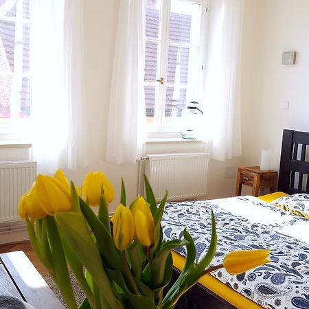 ברומוב Apartmany U Namesti מראה חיצוני תמונה